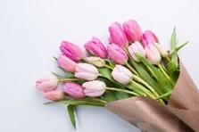 Tulpenstrauß